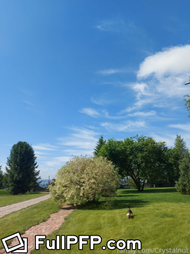 Maria @Crystalnut Fansly Full Size header Picture (HD)