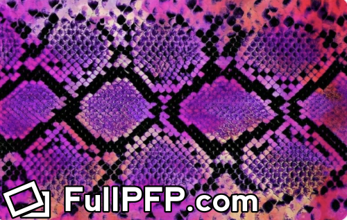 Lau @laudehoog F2F Full Size header Picture (HD)