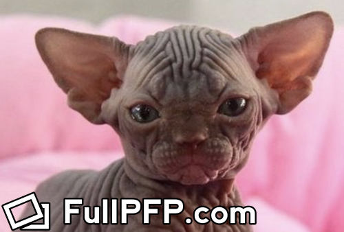 uglygoblinbaby @uglygoblinbaby OnlyFans Full Size header Picture (HD)