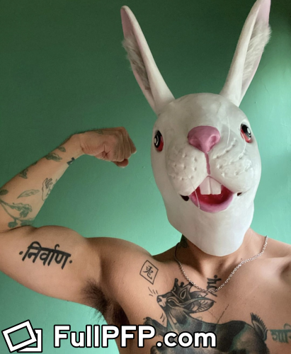 El Conejo Rey 🐇👑 @zakatuche full-size profile picture OnlyFans